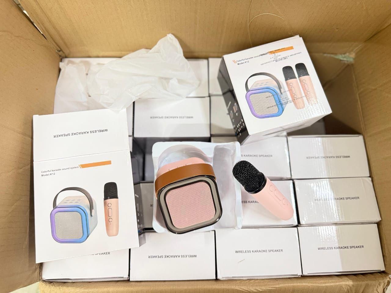 Portable Karaoke Speaker with Mic – Bluetooth Enabled